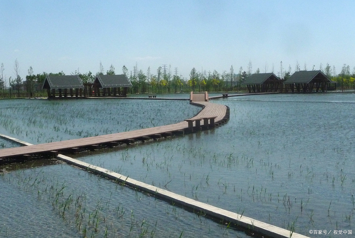 奔赴春天的旅行# 随着春意渐浓,青岛的唐岛湾湿地公园成为了市民和