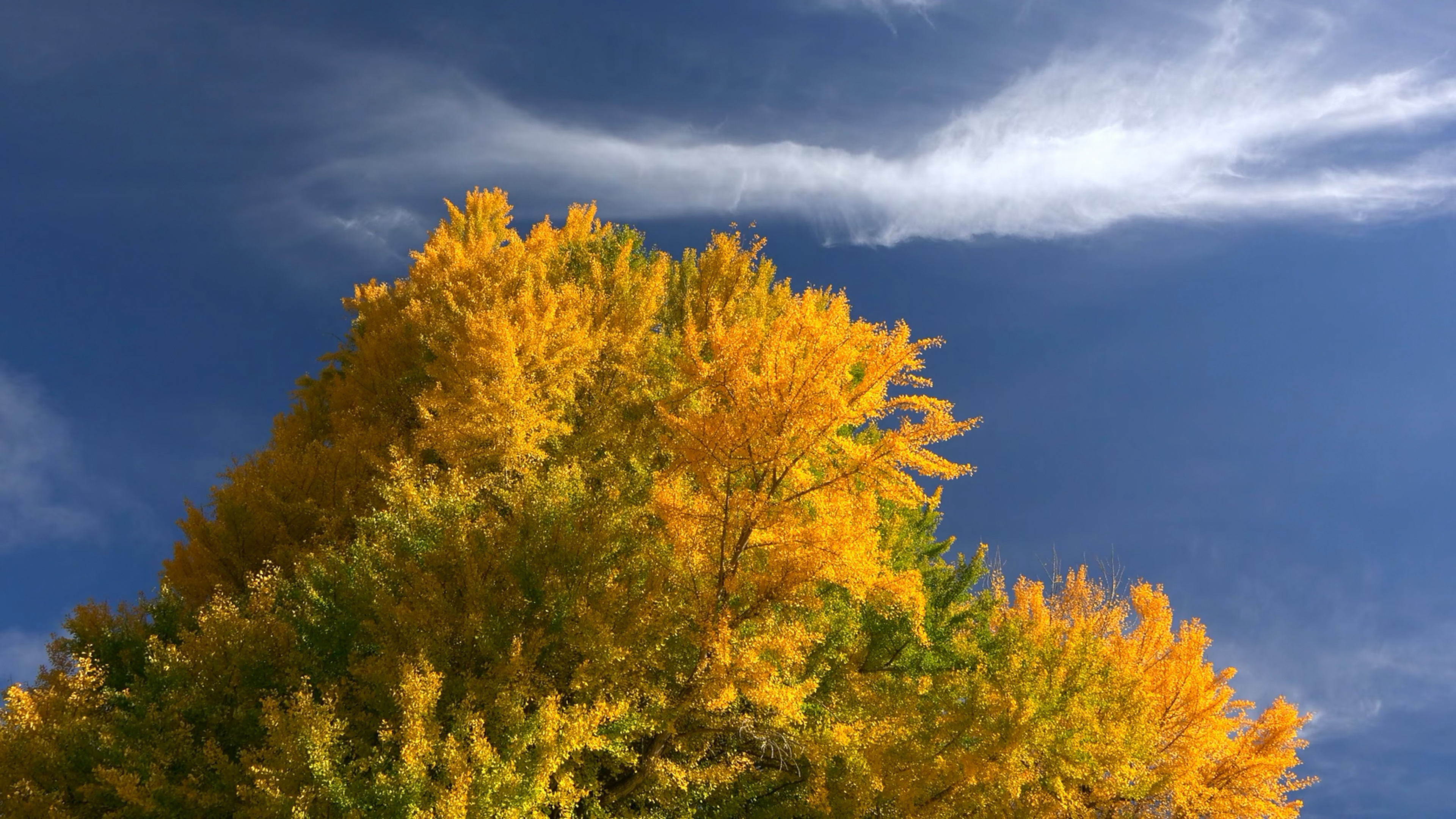 野外的风景|第二期