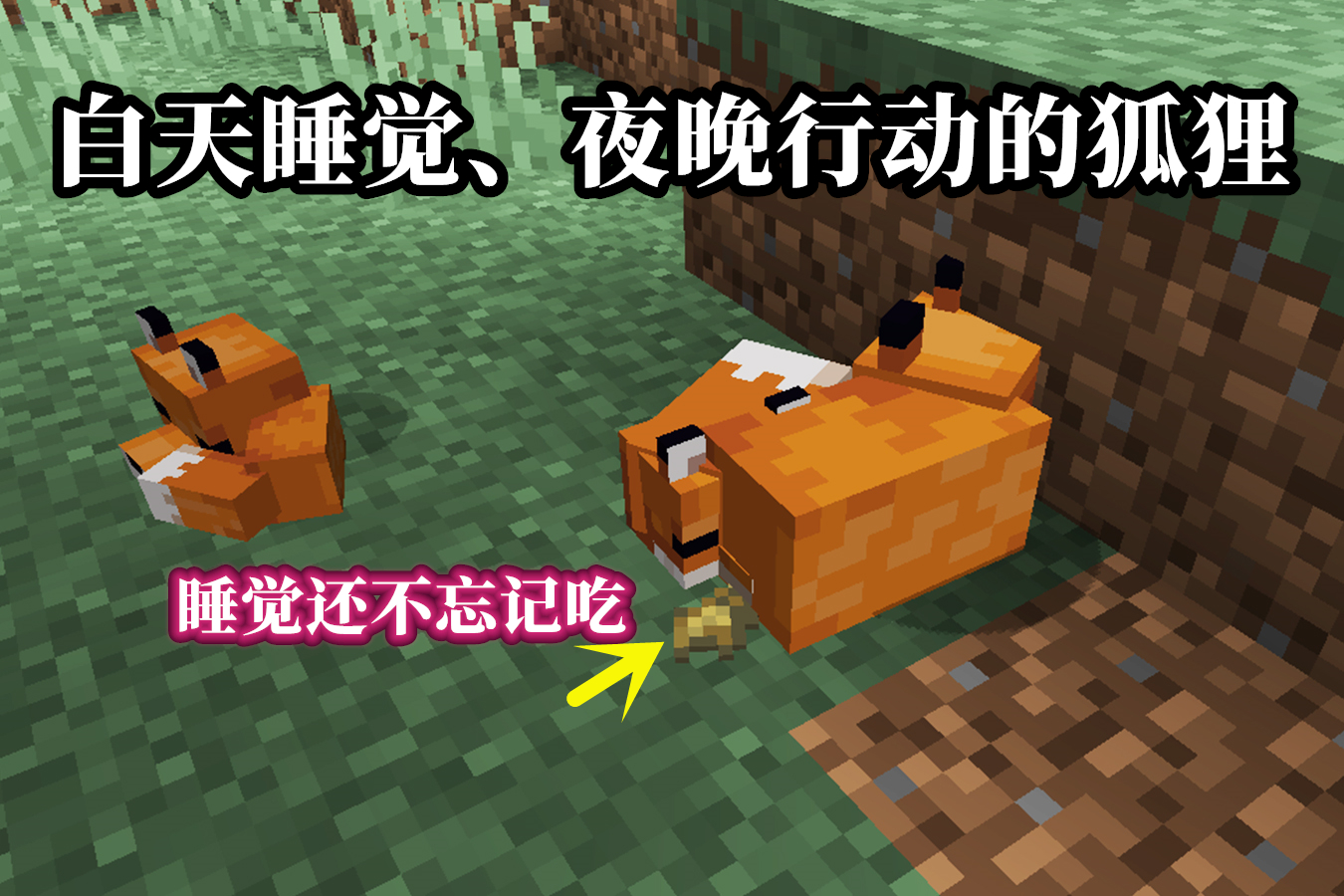 我的世界:19w07a更新,狐狸和玩家见面,是个昼伏夜出的清洁工?