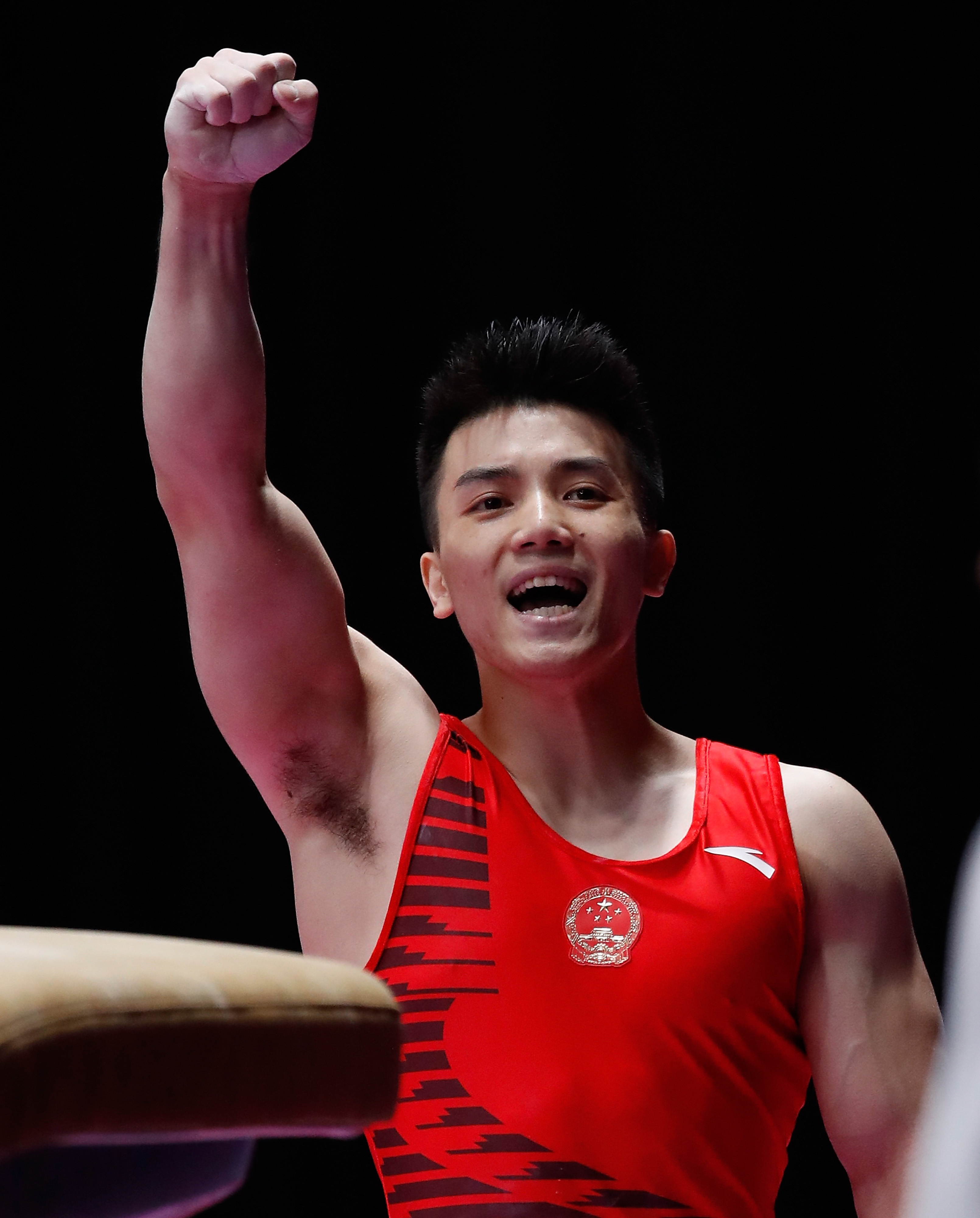 体操——林超攀获男子个人全能金牌(6)