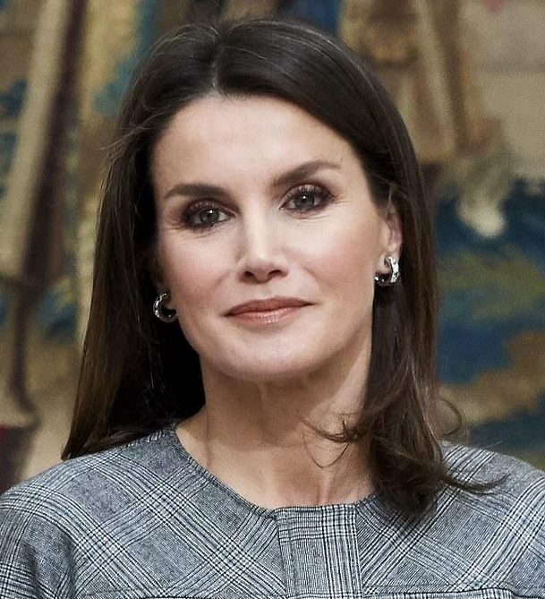 莱蒂齐亚穿灰色格子连衣裙现身,高贵优雅,只是头上多了几根白发