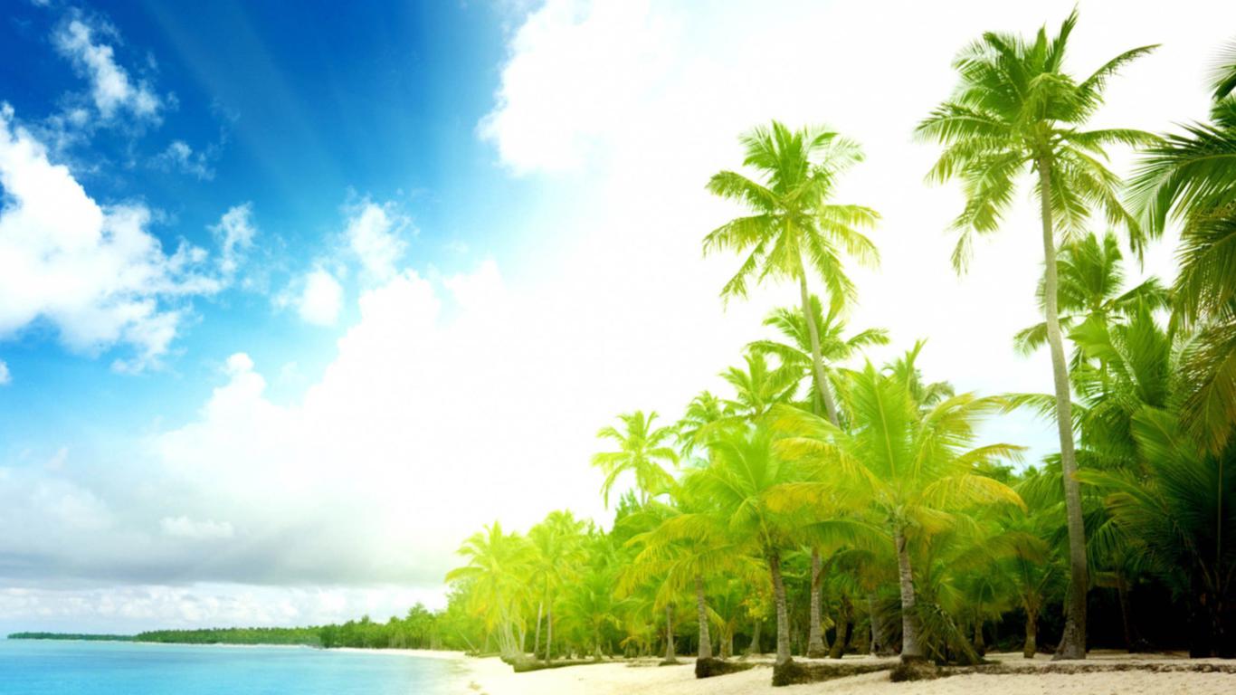 海滩上那一片片的椰子林,如同一道道绿色的屏障一样守护着大海