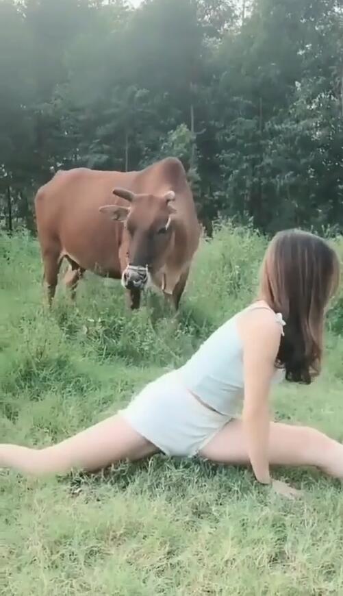 抖音"放牛美女"火了,对着牛做这种事,网友:牛都惊呆了