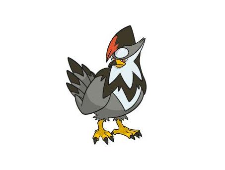 《精灵宝可梦》图鉴398:被称为自杀鸟的家门鸟之首——姆克鹰