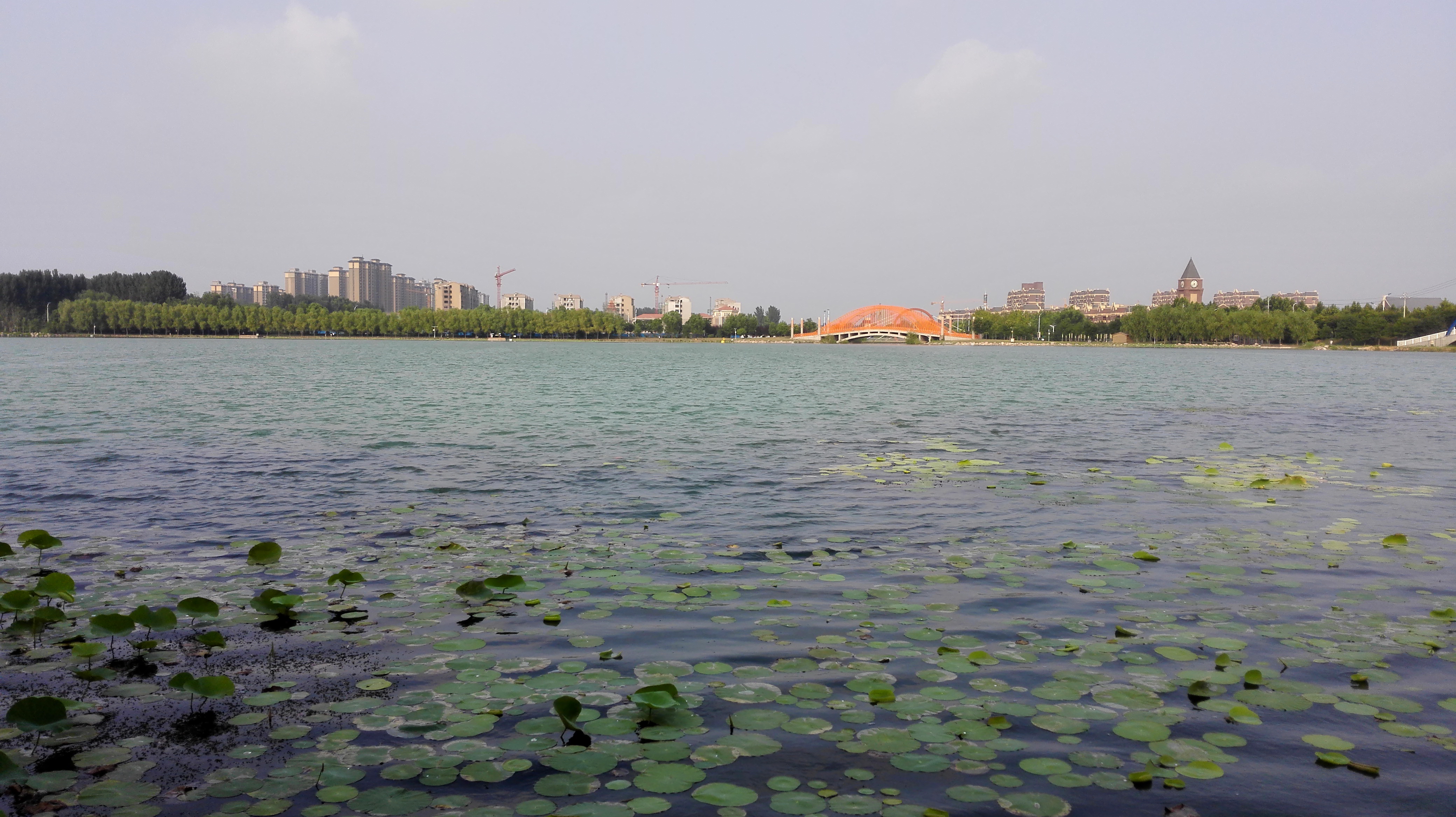 新乡平原新区凤湖风光照一组