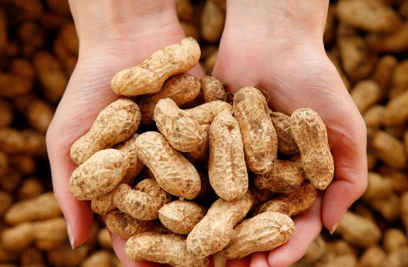 山东硬汉孙孟全:坚守创业30年,终成花生产业第一人!