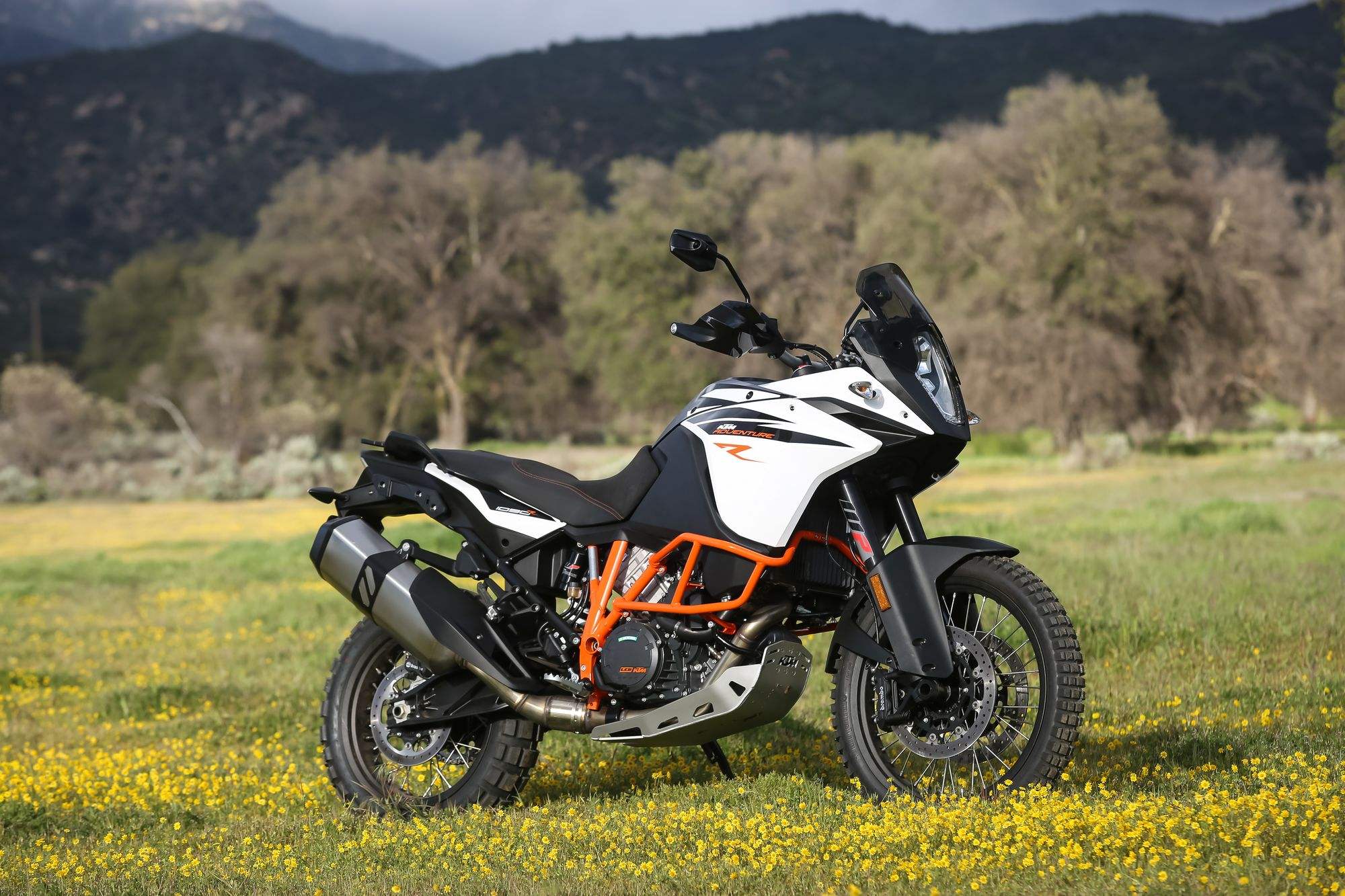 最大排量的水鸟,宝马r1250gs,车友:堪称陆地最强越野机车!