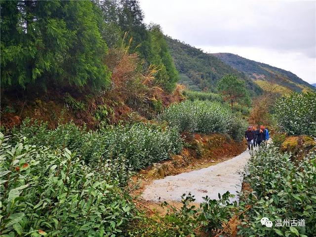 麻行古道丨千年留痕寺悠久,一蓑烟雨浸古道