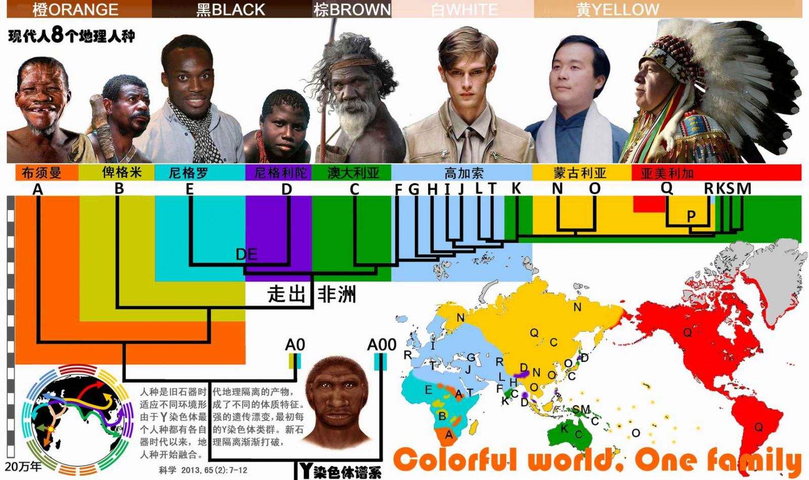 麟剑《人类源流史》人种起源:y染色体画出了人类各族的家谱