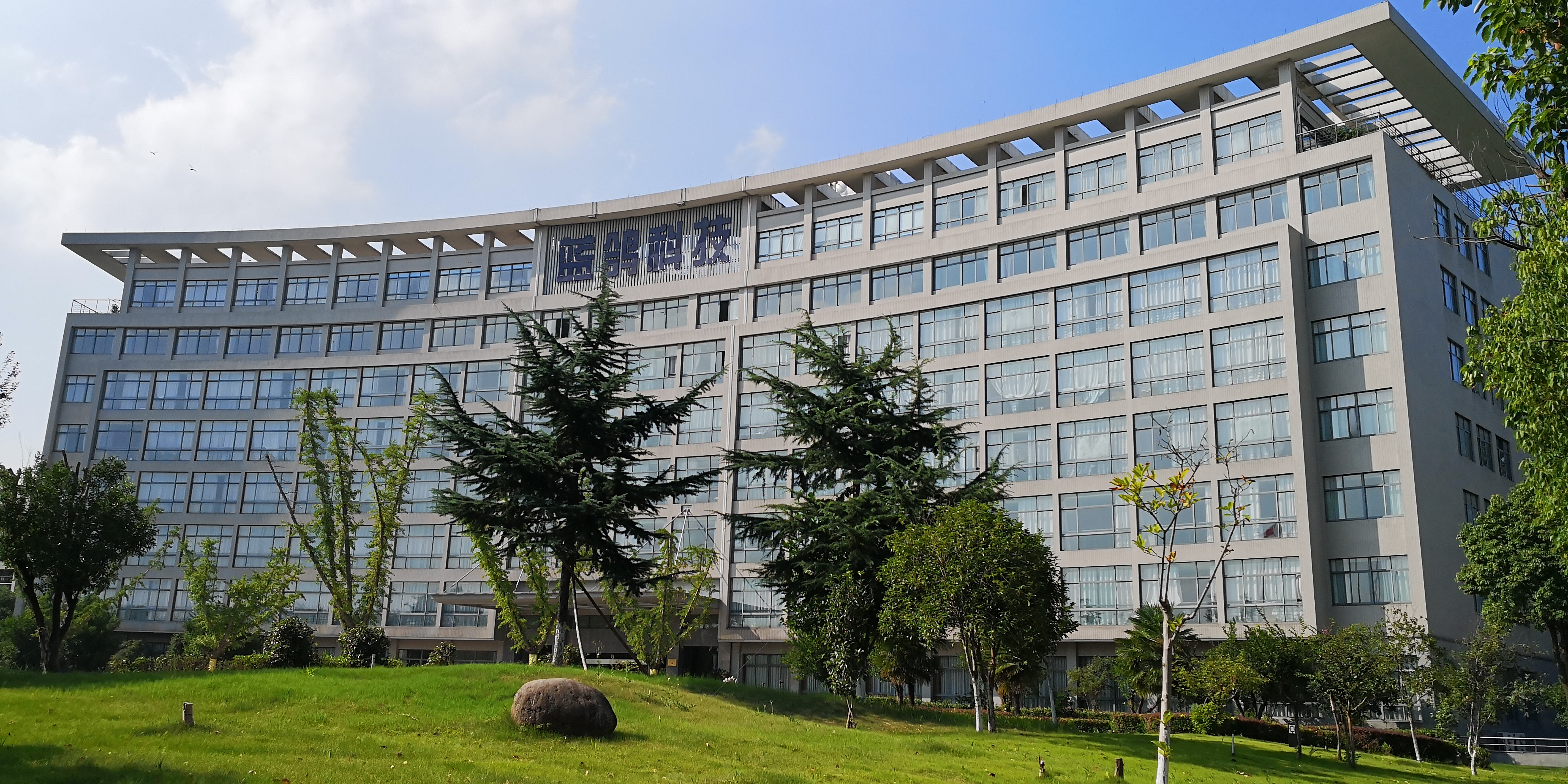 蓝鸽集团董事长张新华:同心共筑蓝鸽梦