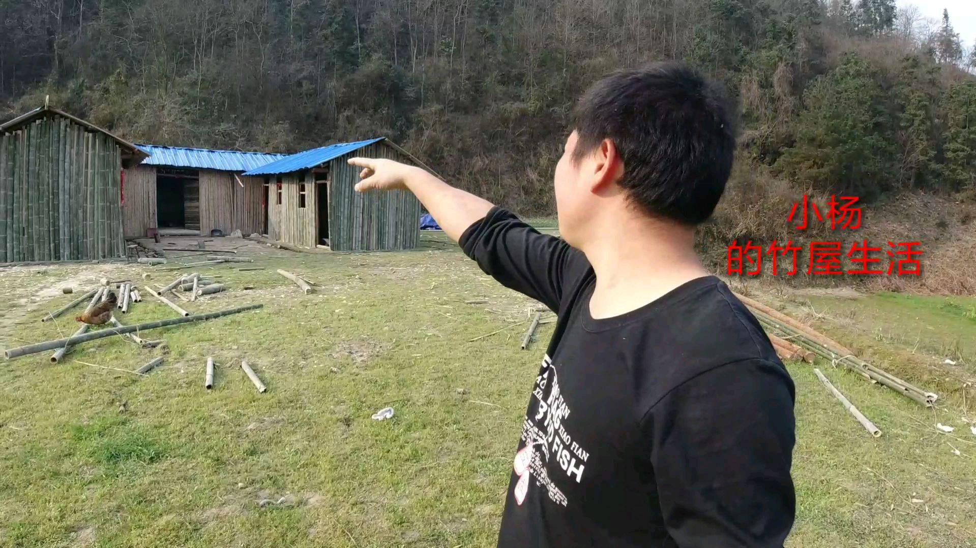 小伙计划后期在房子后面修一个鸡舍养鸡,你觉得怎么样?靠谱吗?