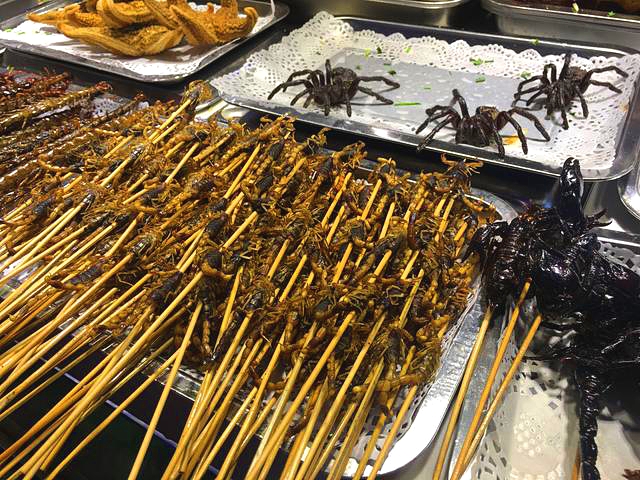 夜市摊上的昆虫烧烤,烤出来的黑色大蜘蛛,好奇谁敢吃?