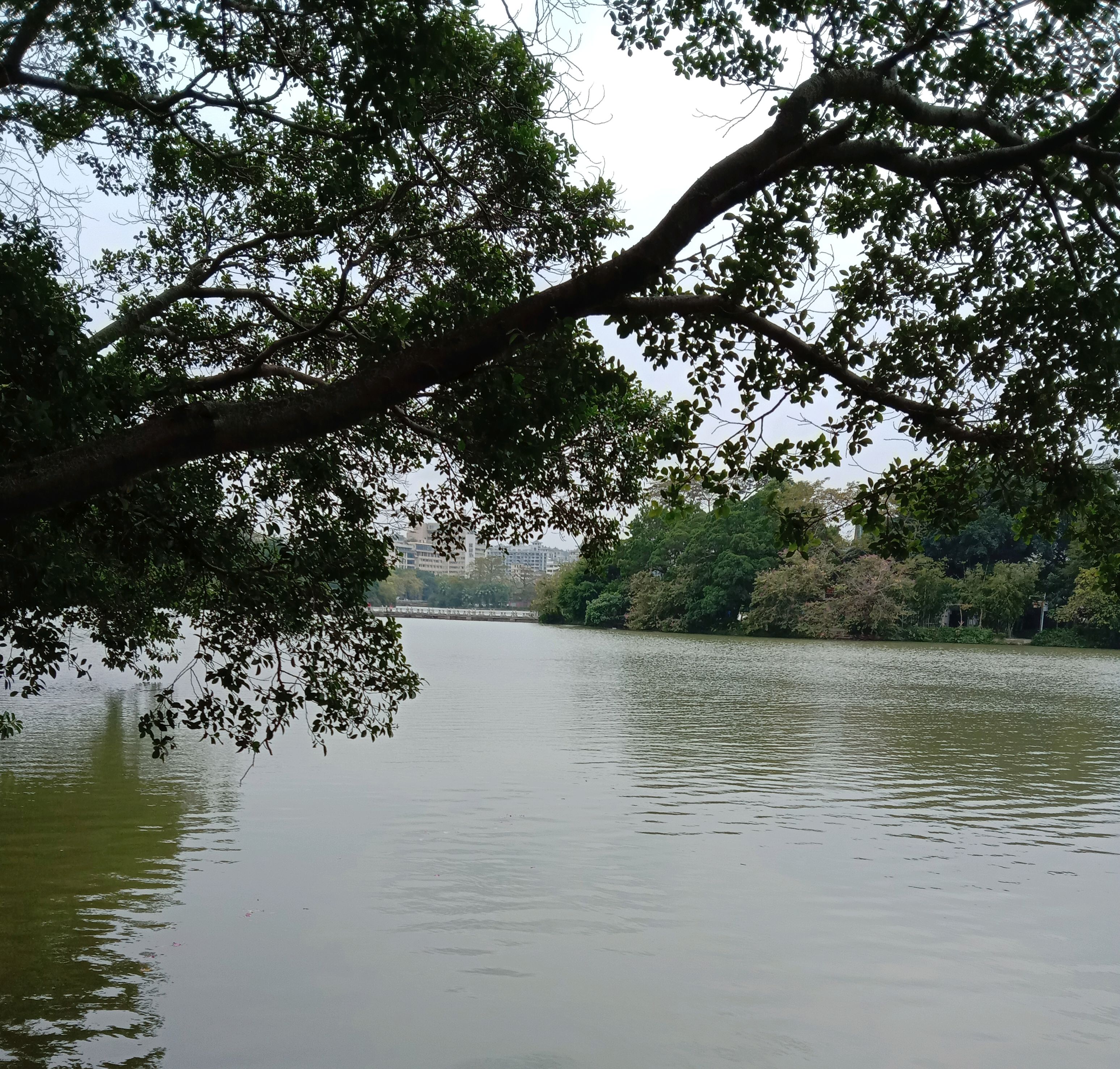 惠州百花洲图片