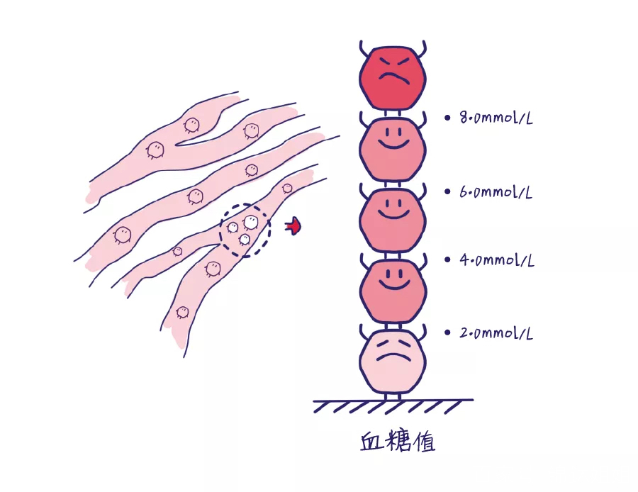 糖尿病的發病機理,你知道多少?