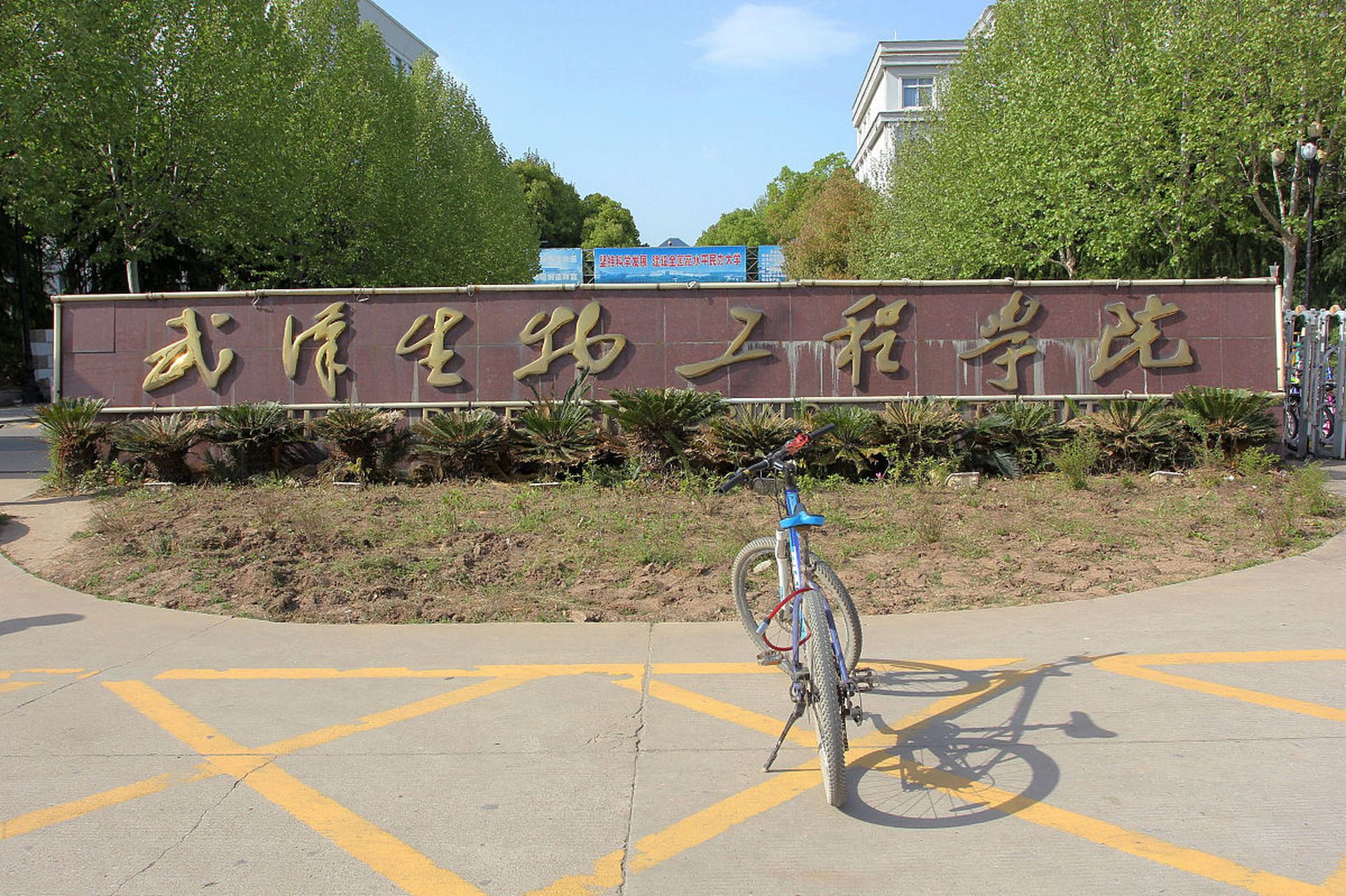 武汉生物工程学院女生因打鼾被欺负,母亲进校维权发生口角争执,最后
