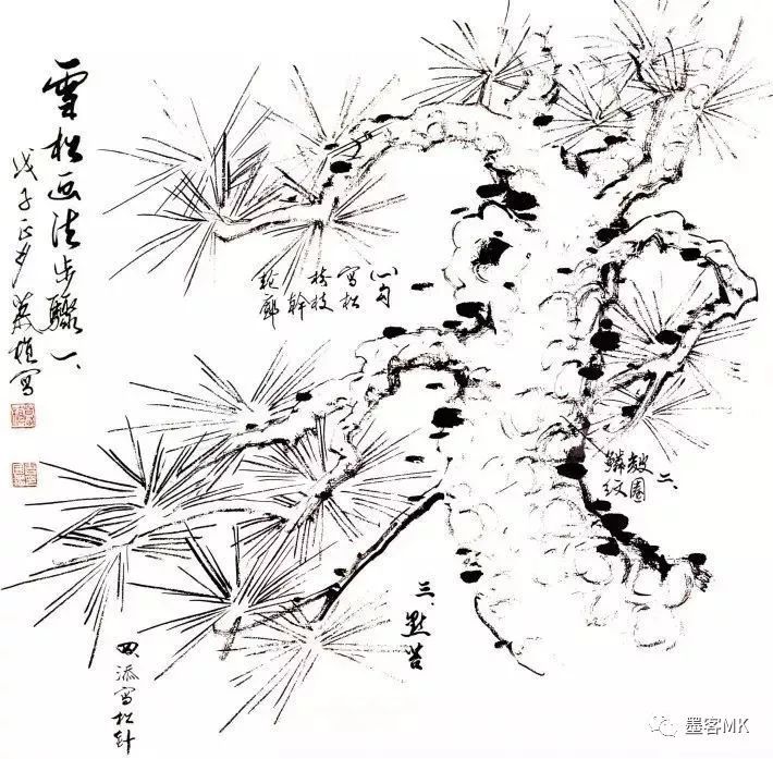 寫意花鳥畫技法之松柏