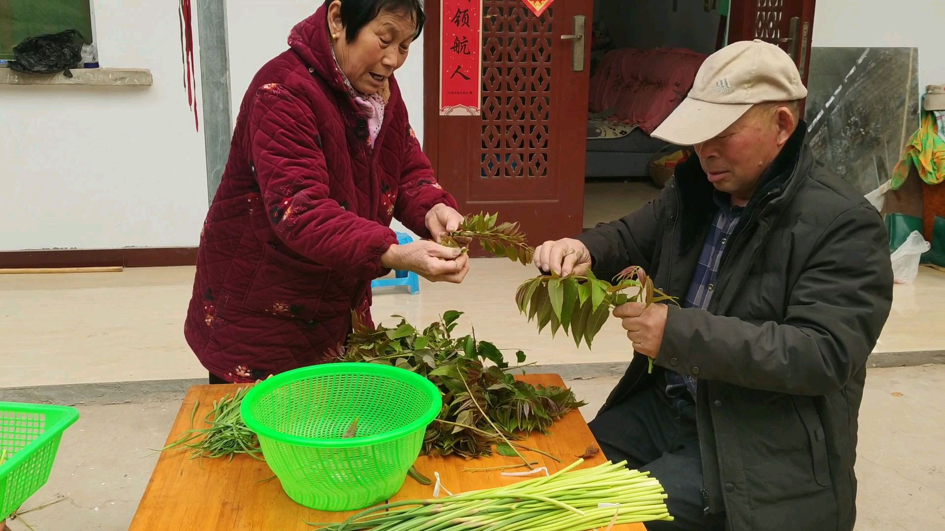香椿蒜苔一块腌,香椿香蒜苔脆,老爸说我最爱吃,每年都得腌一盆