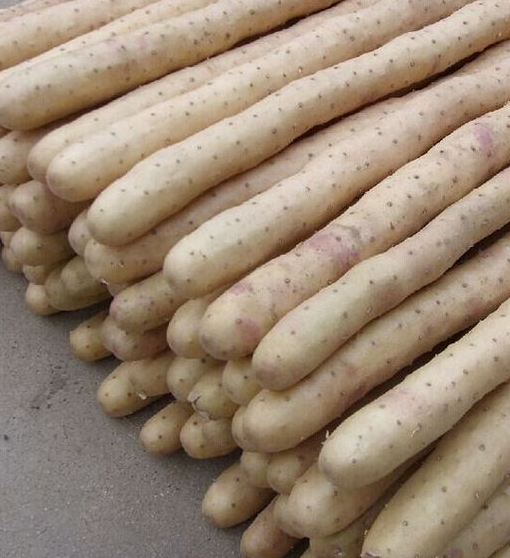 山药去皮太困难?教你1个"秘诀",去皮容易,常吃养胃健脾!