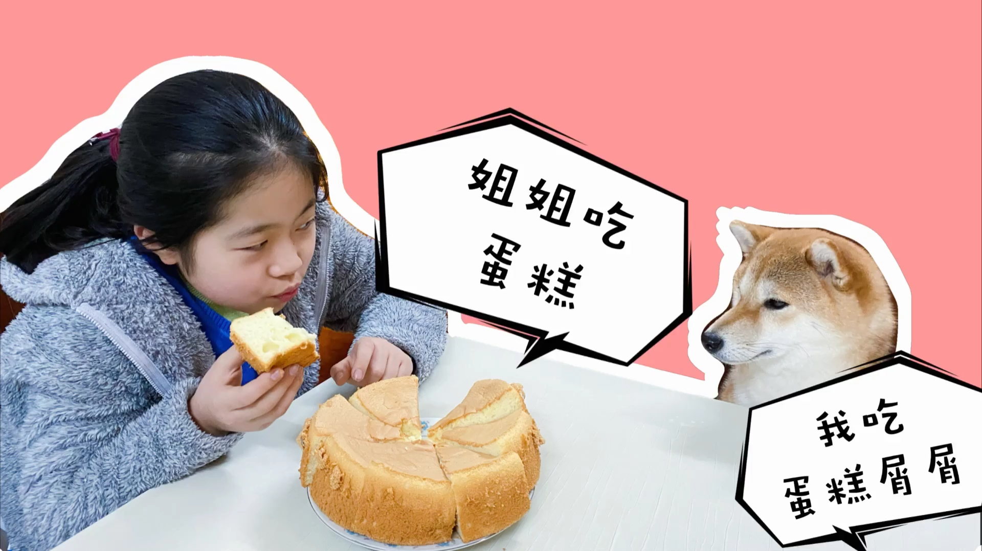 爸爸做一个戚风蛋糕,小学生津津有味试吃,柴犬:蛋糕渣渣归我了