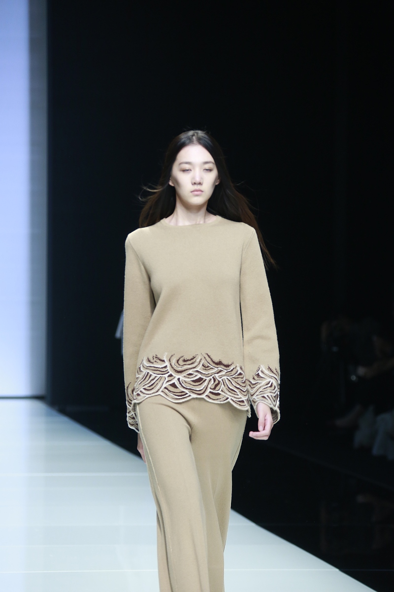 云南普洱,一片原本充满希望的果园,如今却因野象群