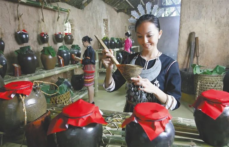 慢读丨山兰酒,椰子酒……海南究竟还有多少"宝藏"美酒?