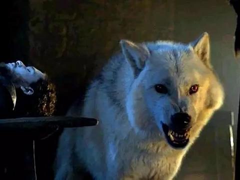 权力的游戏第八季:珊莎二丫将联手对抗龙母,雪诺陷入两难境地?