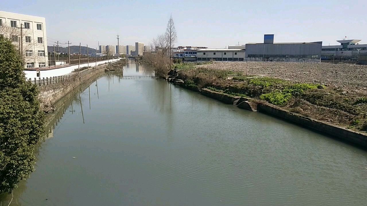 不起眼的小河有“鱼精”,偶遇别人勾鱼,想不到竟勾上两条大鲤鱼