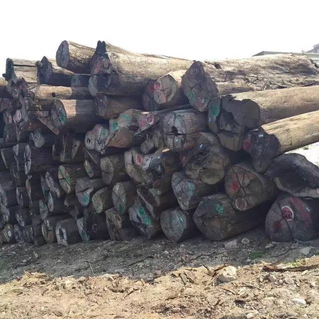 市场上又现一花梨——金车花梨,它是红木吗?