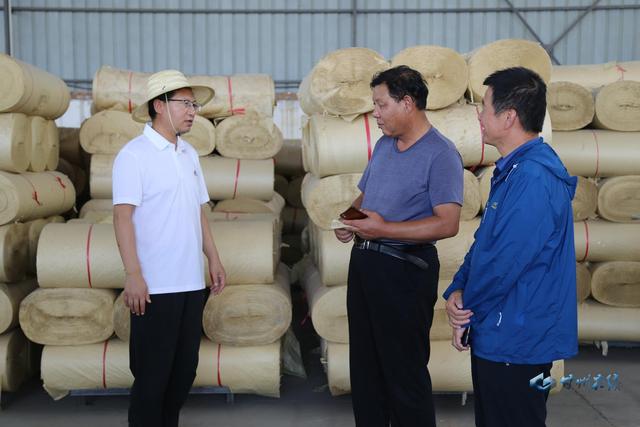 成广平督查调研我区生态环境问题整改整治工作