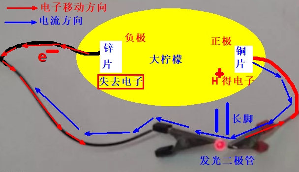 水果电池示意图图片