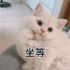 野食小哥终于对鸭鸭下手了?冬天来碗热气腾腾的酱鸭菜泡饭,神仙享受!