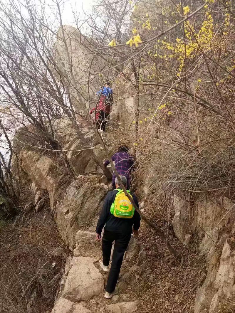 春日登臨朐縣嵩山