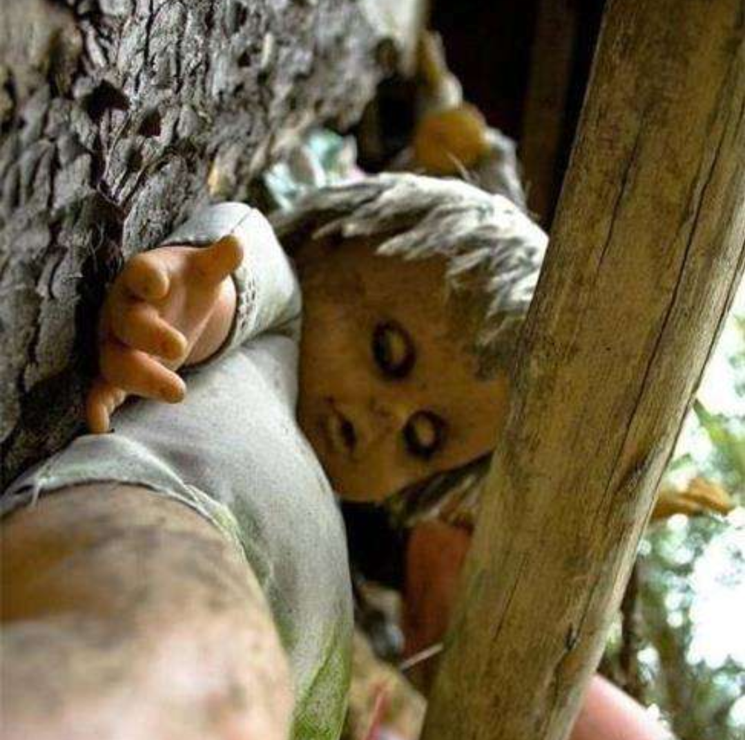 鬼故事:医院丢尸婴