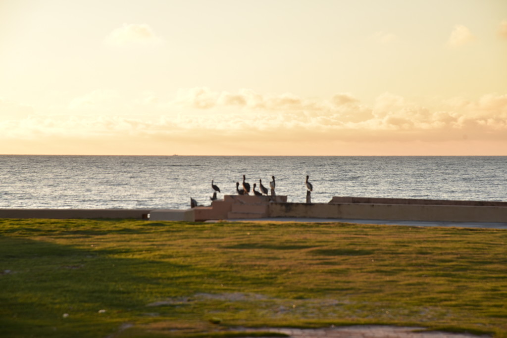美国最南端的岛keywest风光