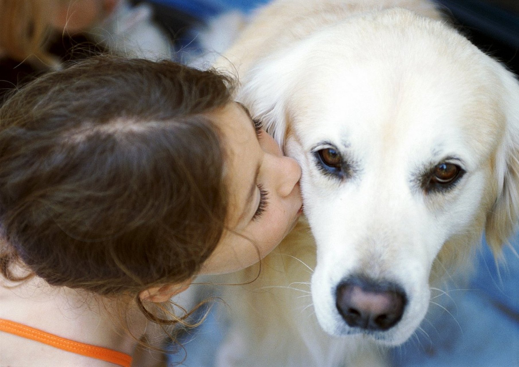 摘要:  狗狗嘴对嘴互相咬是一种社交和游戏的体现,有助于建立和维持