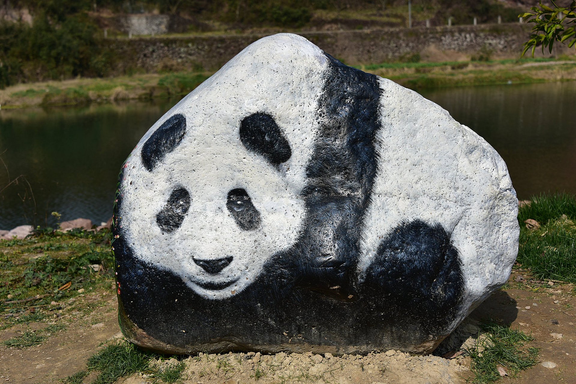 大叔将熊猫图案泰山石取名丫丫#  祝它早日回家.