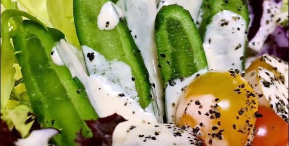 最爱吃仙人掌的国家,做法众多,不怕扎嘴吗?