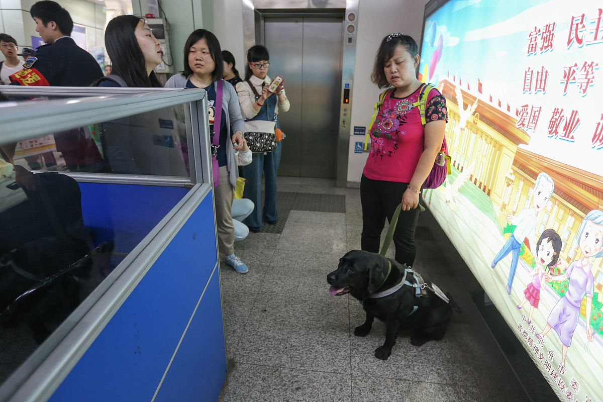 这位盲女竟然背下了8000个钢琴零件,成为了顶尖的钢琴调音师!