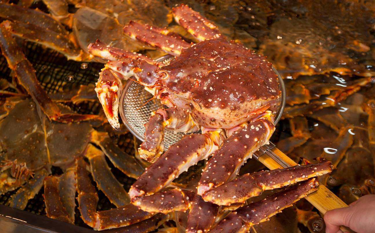 越南芽庄旅游,买了30只铁蟹,老板要价20万,游客不敢相信