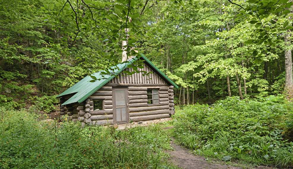 心理学:你觉得哪栋林中小屋最让你有安全感?测出你将遇到的喜事