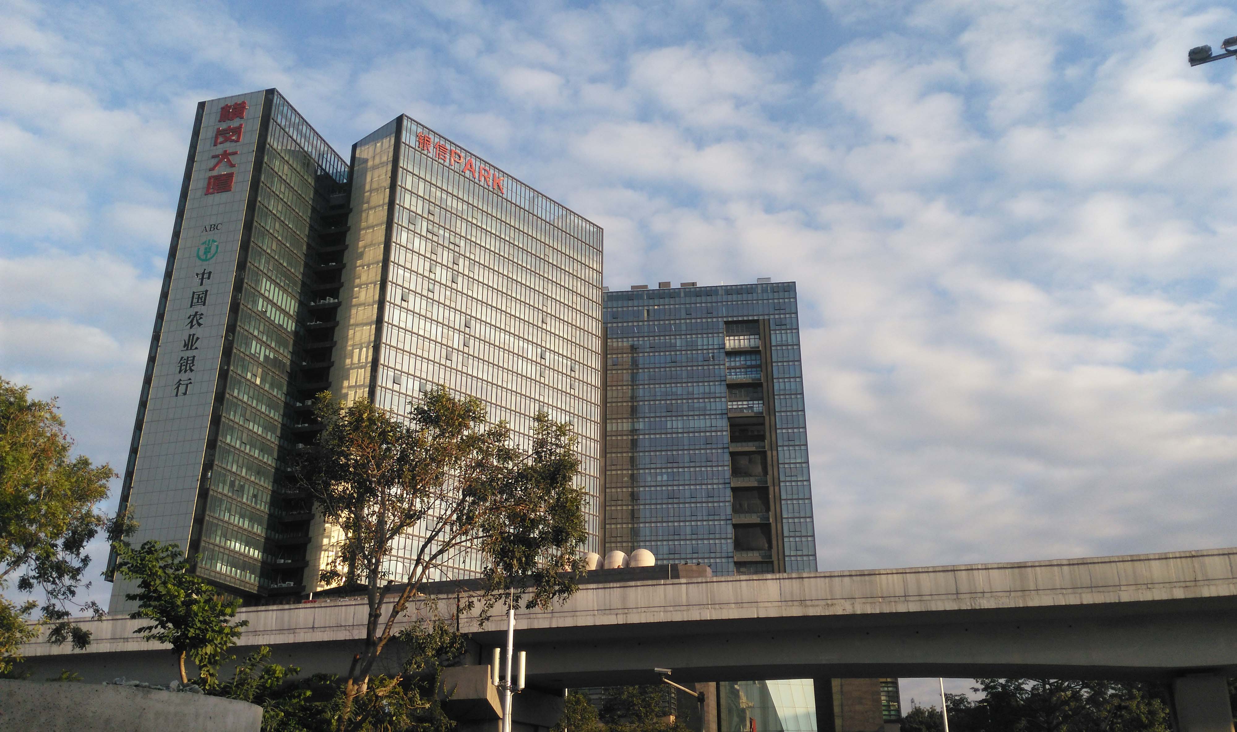 在龙岗大道横岗段的路两边,近几年冒出了不少高高的楼房,这也许就代表