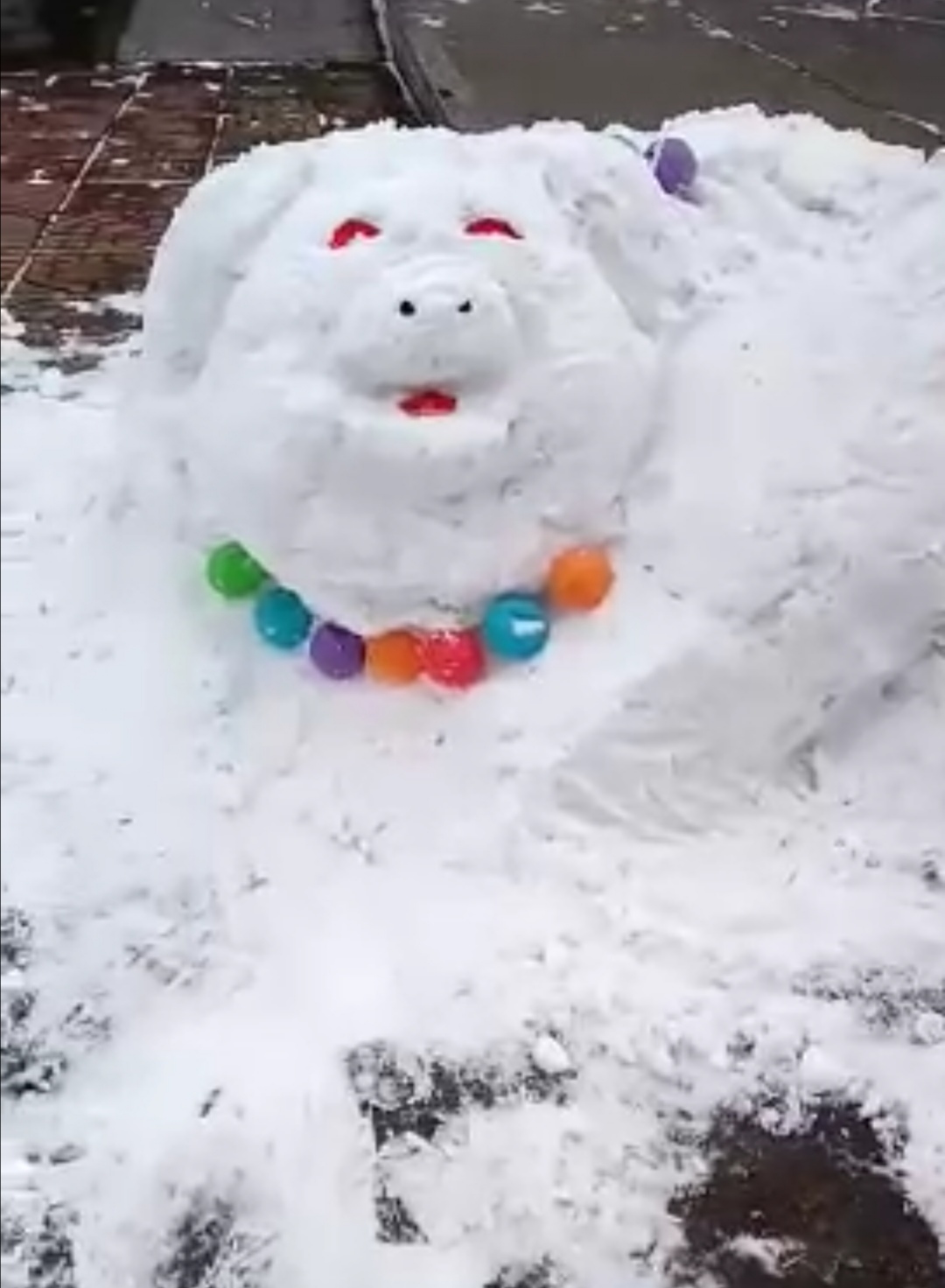 情人节单身狗堆雪人反抗!哈哈哈,笑出猪叫