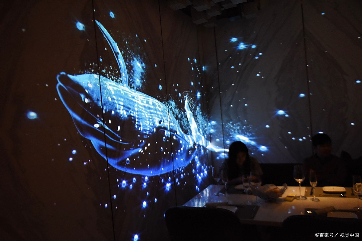 学个技术吧# 3d投影通常是通过传输以特定格式编码的三维图像或视频