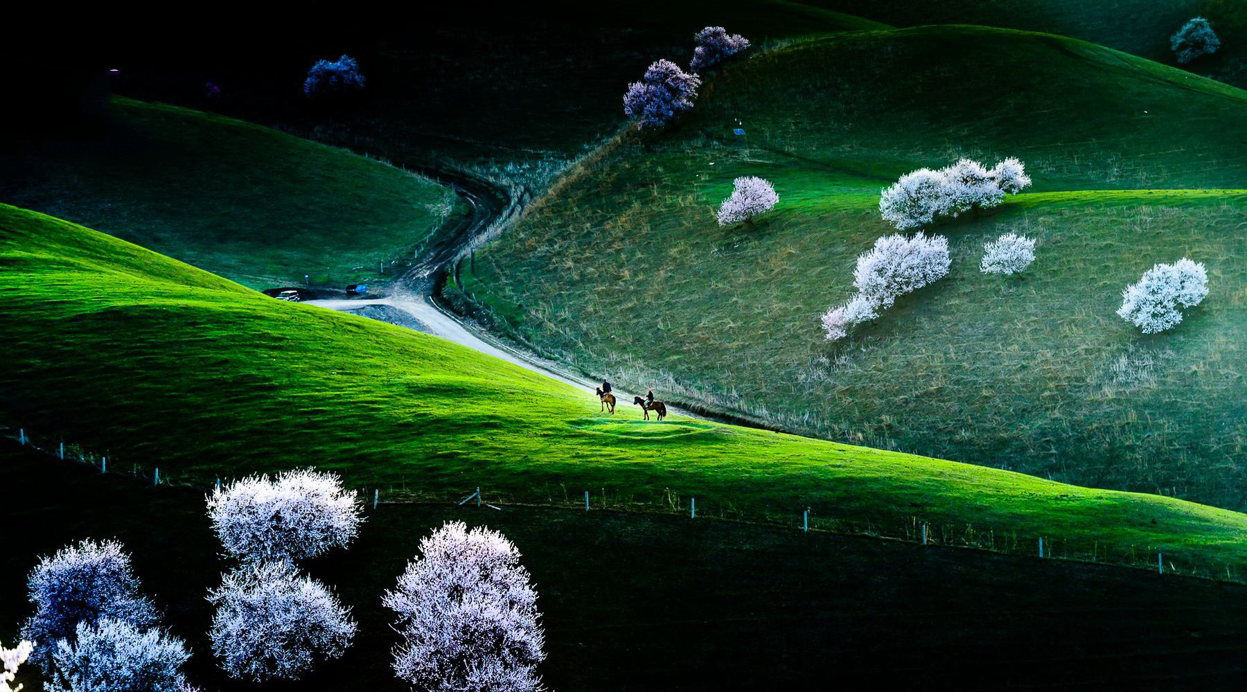 风光摄影:相约新疆那拉提杏花谷