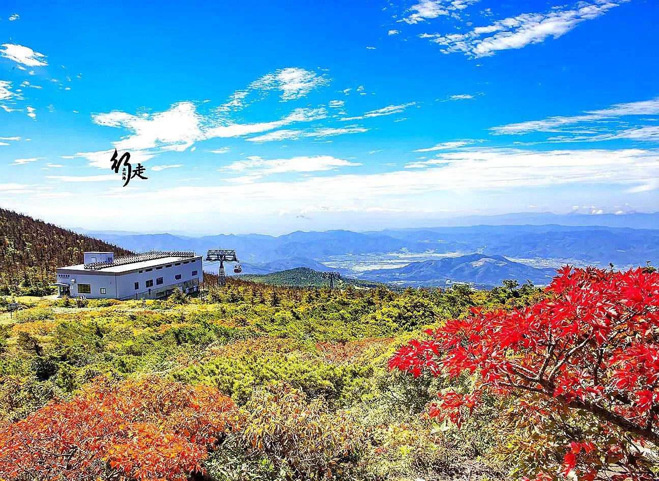 只有来过的人才知道,入冬后的藏王山与春夏秋三季完全不同:西伯利亚强