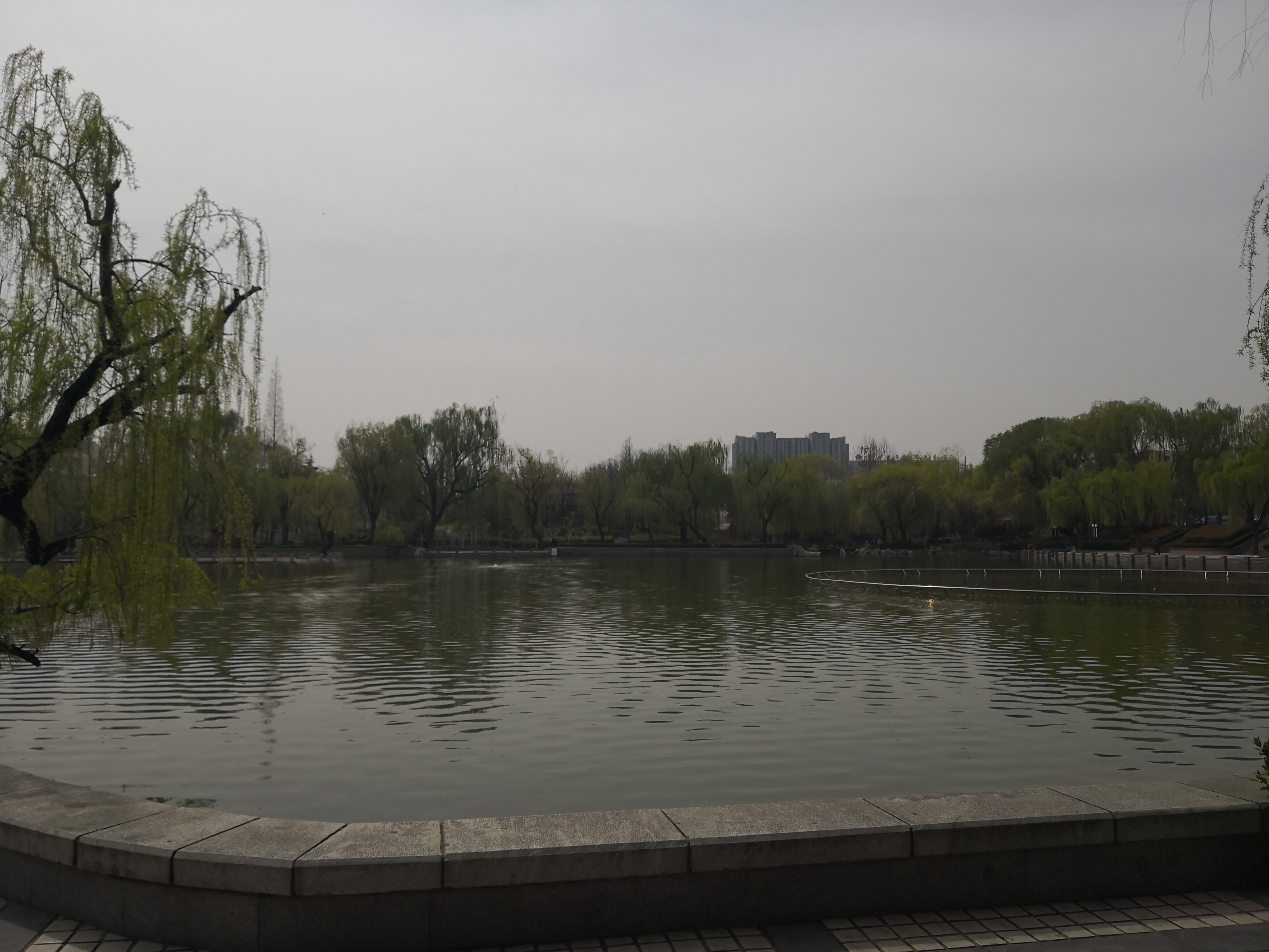 泰城東湖公園春天美景