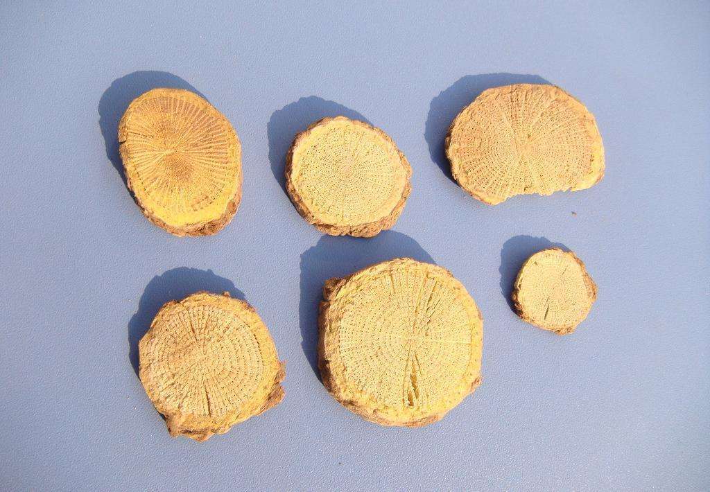 百度爱采购首页 商品专题_通草木通药用价值很高,想更好的种植木通