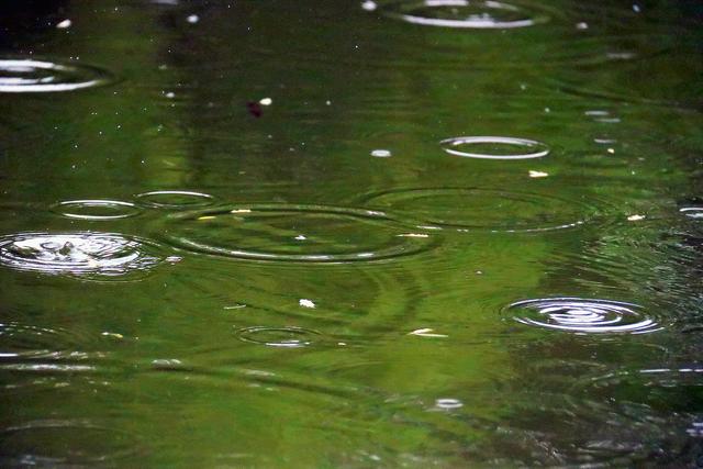 时光记忆《温雨》