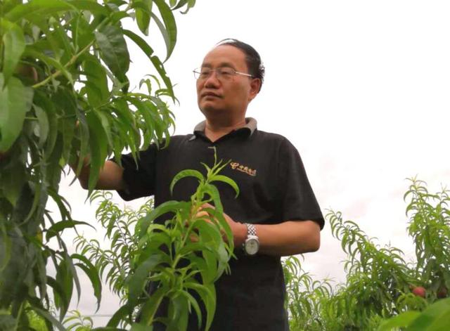 奚若故里扶贫人—大荔县仓溪村第一书记陈省利