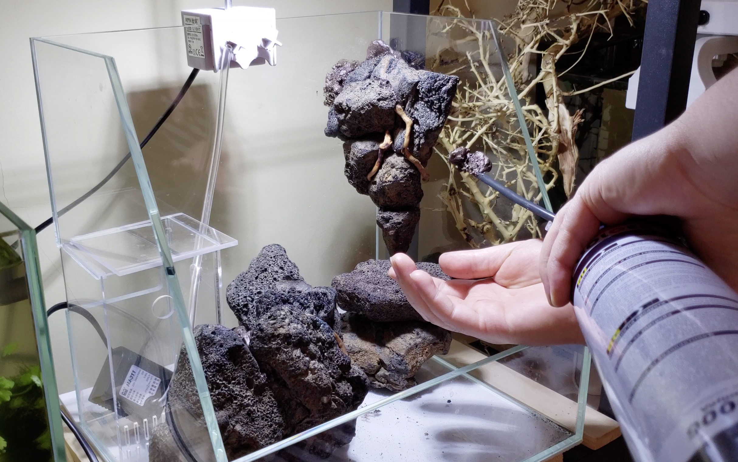 造景- 热门商品专区